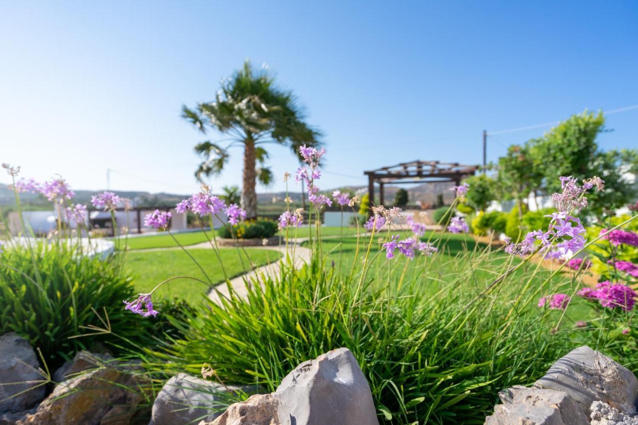 Georgia'S Apartments Kouremenos Beach Anevato المظهر الخارجي الصورة